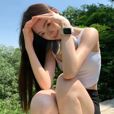 至上之法